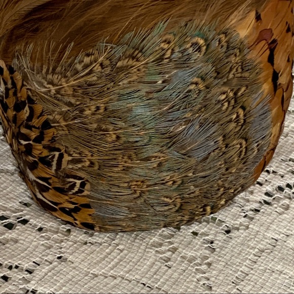 Vintage, 1950’s Pheasant Feather hat with Bangs .  Excellent condition . - Picture 13 of 13